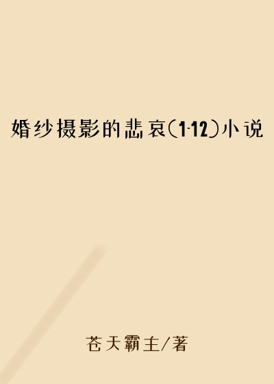 婚纱摄影的悲哀(1-12)小说